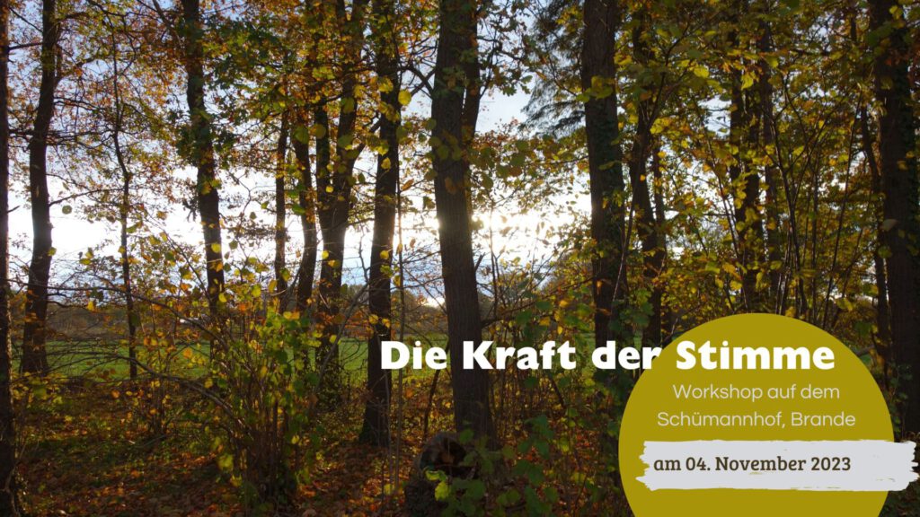 Workshop Kraft der Stimme mit Beate Winkler auf dem Schümannhof 4.11.23
